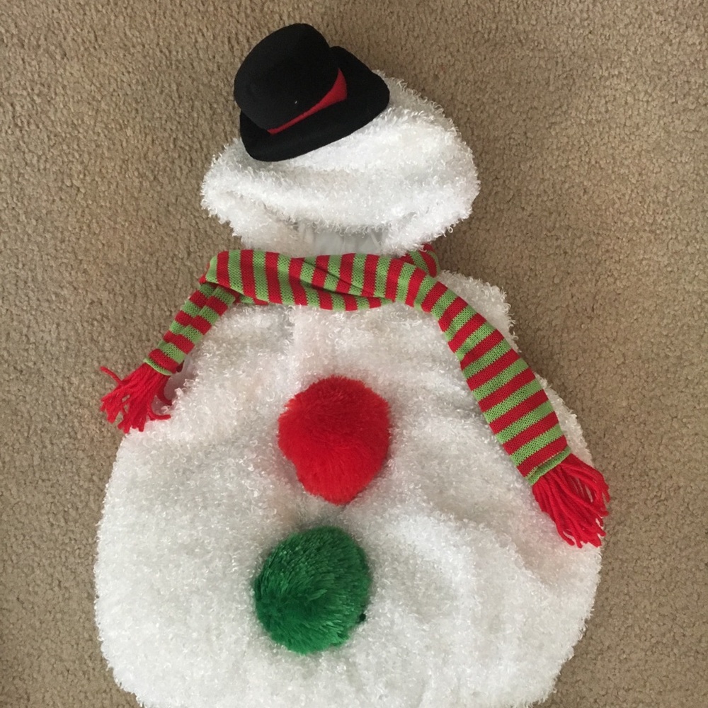 Snowman costume
